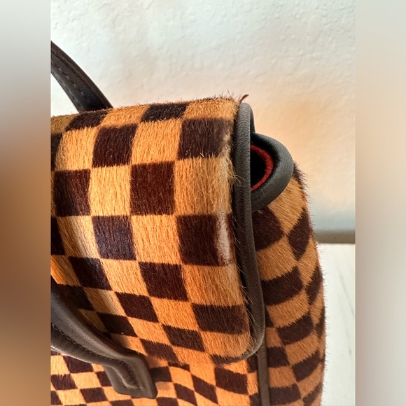 SOLD Louis Vuitton Lionne Damier Sauvage Handbag - Picture 9 of 13